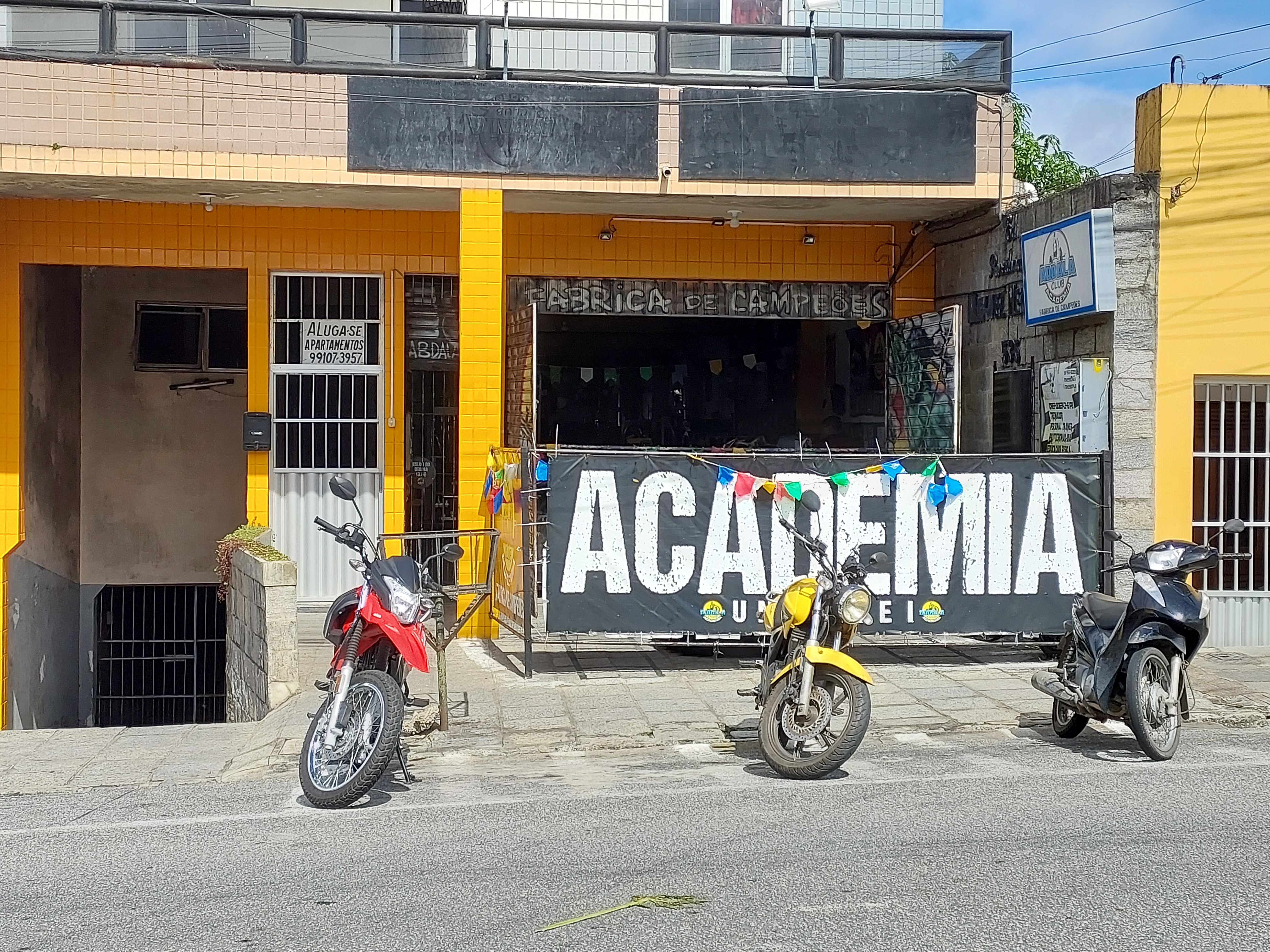 Academia Palmeira